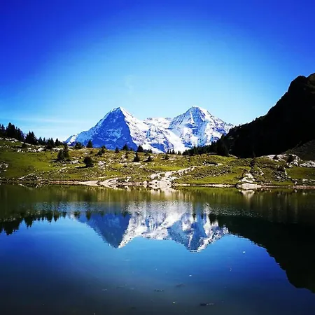 Swisshut Stunning Views Alps - Apart. Mungge