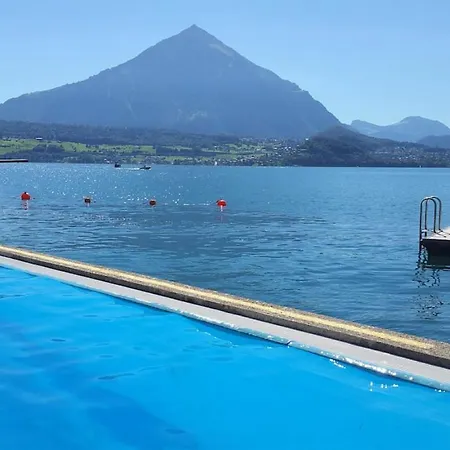 Daire Thun Alps Scenic Views And Concierge By Swisshut Beatenberg
