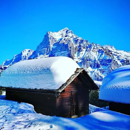 Swisshut Stunning Views Alps - Apart. Mungge * Beatenberg