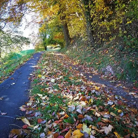 Apartment SwissHut Stunning Views Alps - Apart. Mungge