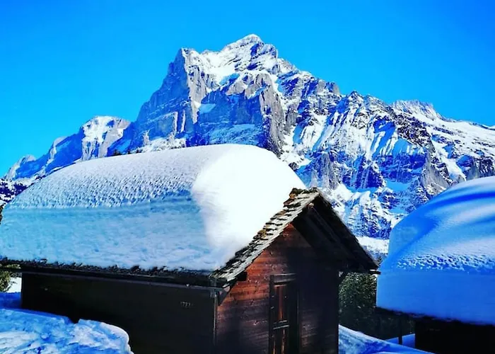 Thun Alps Scenic Views And Concierge By Swisshut * Beatenberg