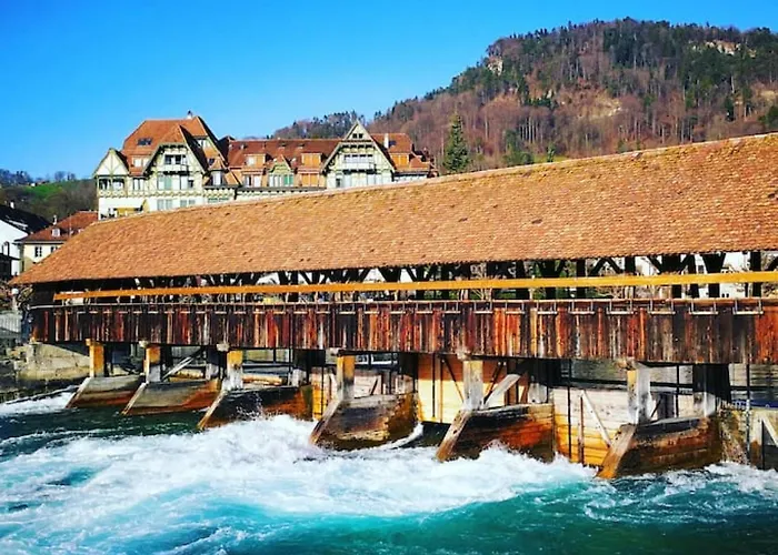 Thun Alps Scenic Views And Concierge By Swisshut