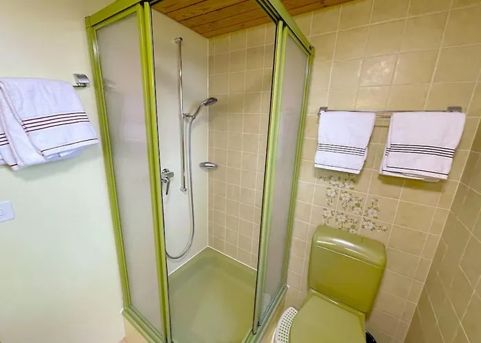 Thun Alps Scenic Views And Concierge By Swisshut Beatenberg