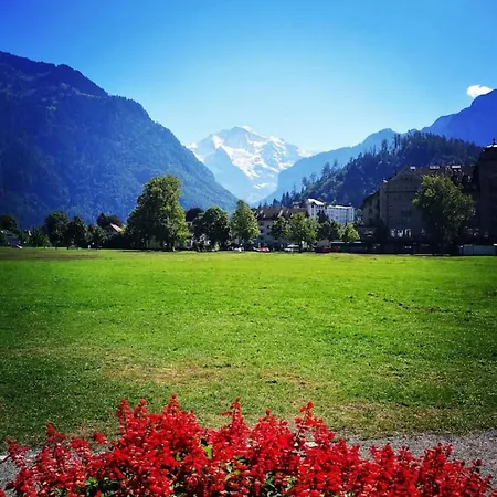 Thun Alps Scenic Views And Concierge By Swisshut *