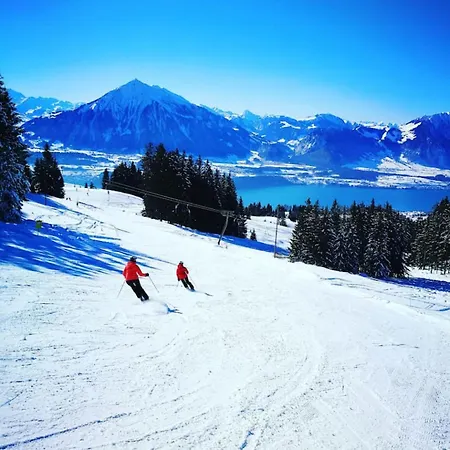 Thun Alps Scenic Views And Concierge By Swisshut Apartman