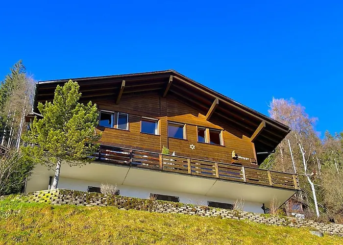 Thun Alps Scenic Views And Concierge By Swisshut