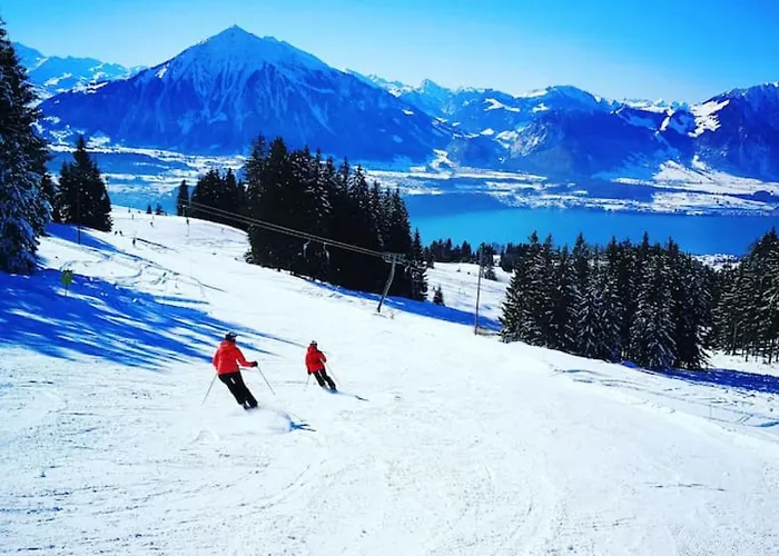 Thun Alps Scenic Views And Concierge By Swisshut Apartamento